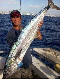 Target Spanish Mackerel